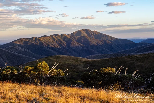 Mt Feathertop Summit 