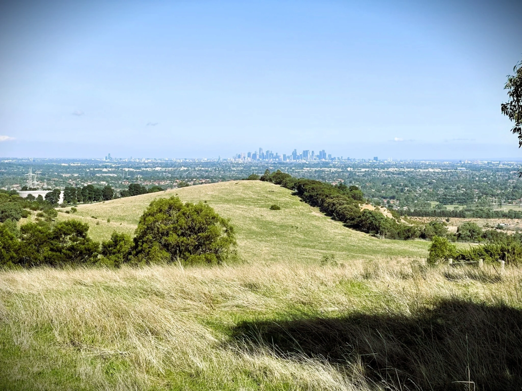 Morning Epping Walk (011)