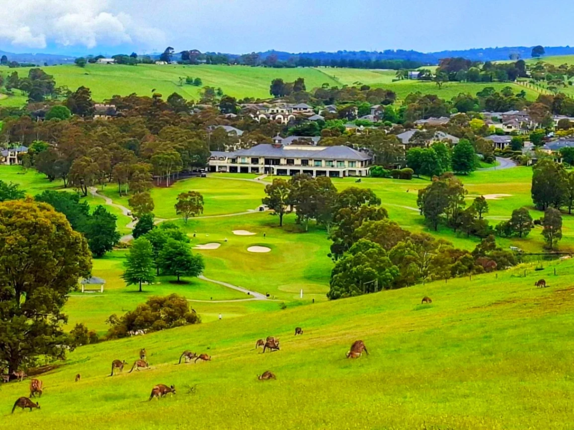 Wonga Park to Yarra River Loop