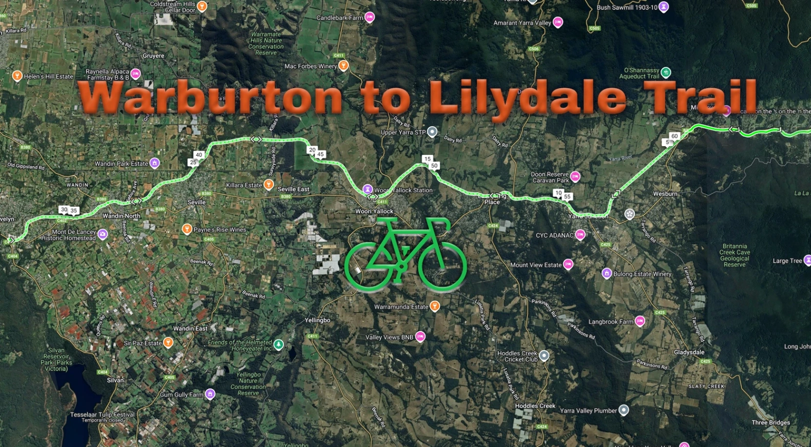 Warburton to Lilydale Trail
