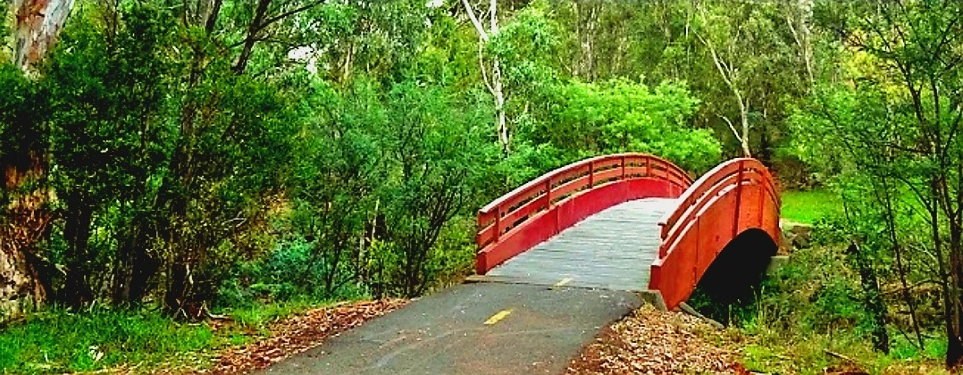 Darebin Creek Trail
