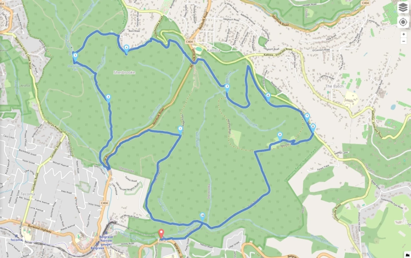 Lyrebird Walk, Neuman, Paddy, Coles Ridge, and Sherbrook Falls Loop