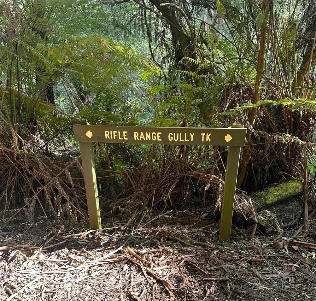 Rifle Range Gully Loop
