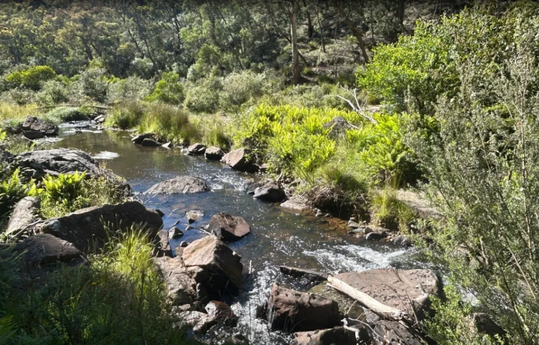 Lerderderg, East Walk and Cowan Track Loop