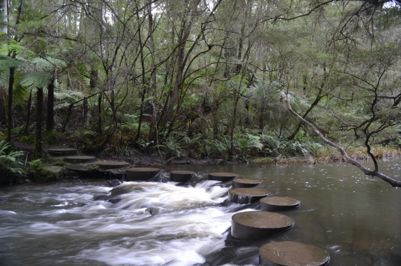 McMahon Tunnel Circuit